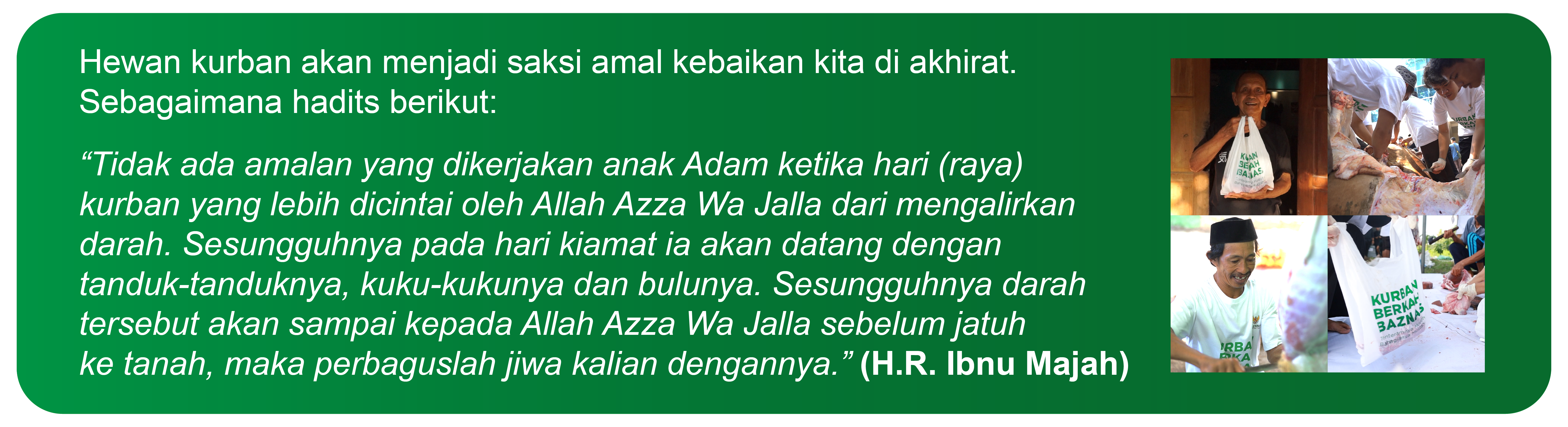 Hikmah Berkurban 3 : Hewan kurban akan menjadi saksi amal kebaikan kita di akhirat.